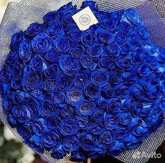 Синие розы. Букеты Цветы доставка