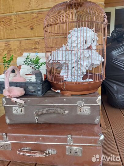 Декор вечеринки Гарри Поттер