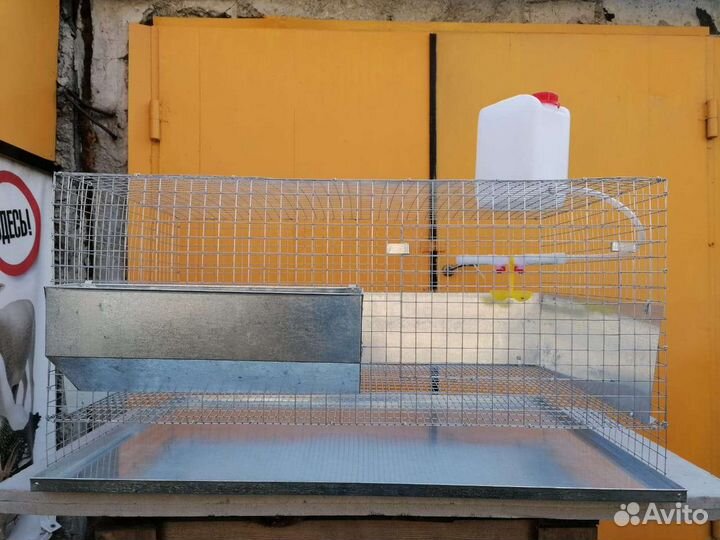 Брудеры для птицы