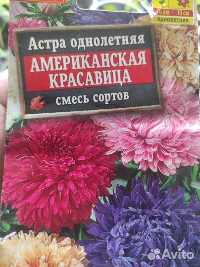 Рассада баклажан, перца, томатов