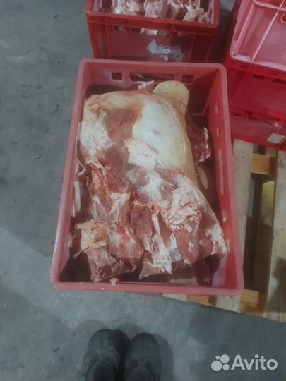 Мясо и кости для собак