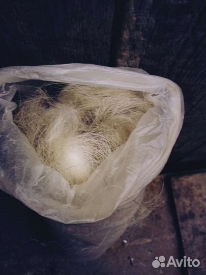 Собачья шерсть 800 гр меняю на корм