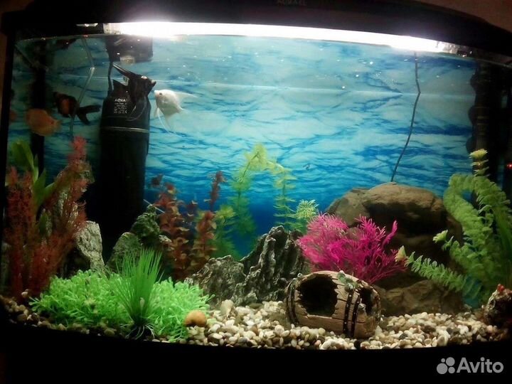 Аквариум с тумбой