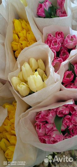 Тюльпаны подарочный набор