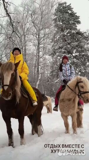 Конные прогулки