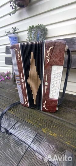 Гармонь Беларусь