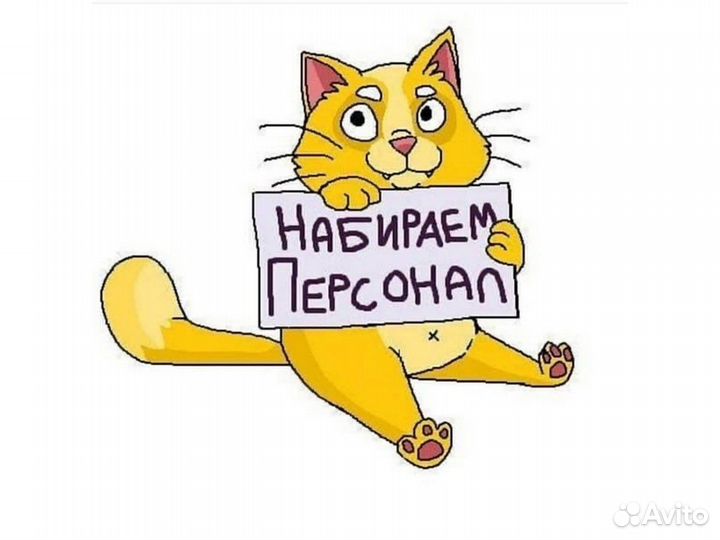 Работа Разнорабочий Вып. еженед. Отличные Условия
