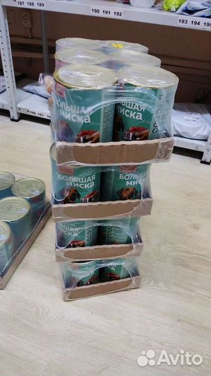 Собаки из приюта ждут вас