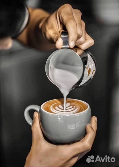 Курсы Баристо