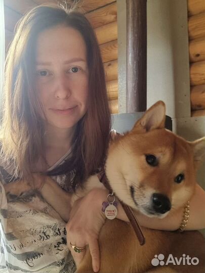 Передержка животных. Зоогостиница