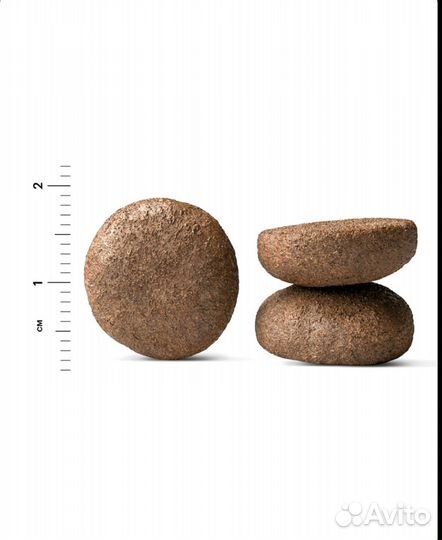 Корм сухой для собак karmy Active