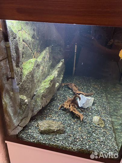 Аквариум на 500 литров