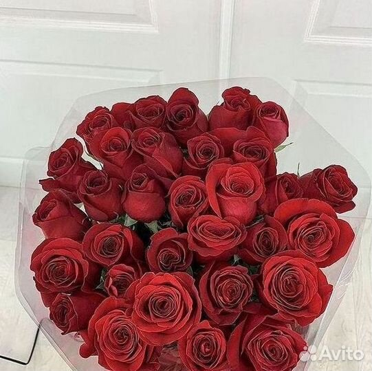 Розы гиганты 140 150 160 170 180 200