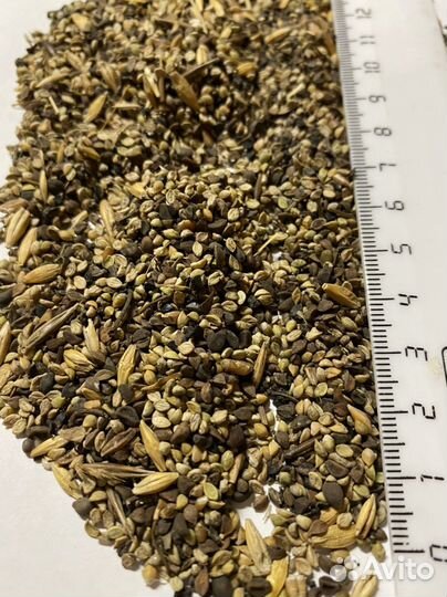 Корм для птиц