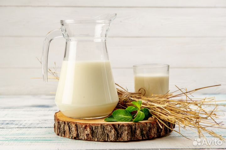 Молоко и молочные продукты