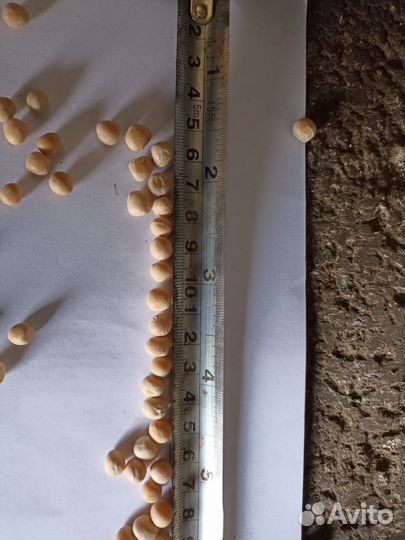 Горох фуражный оптом