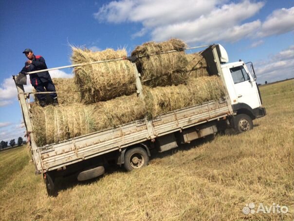 Сено в рулонах с доставкой