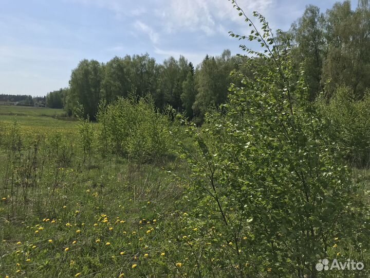 Оформлю землю для Вас