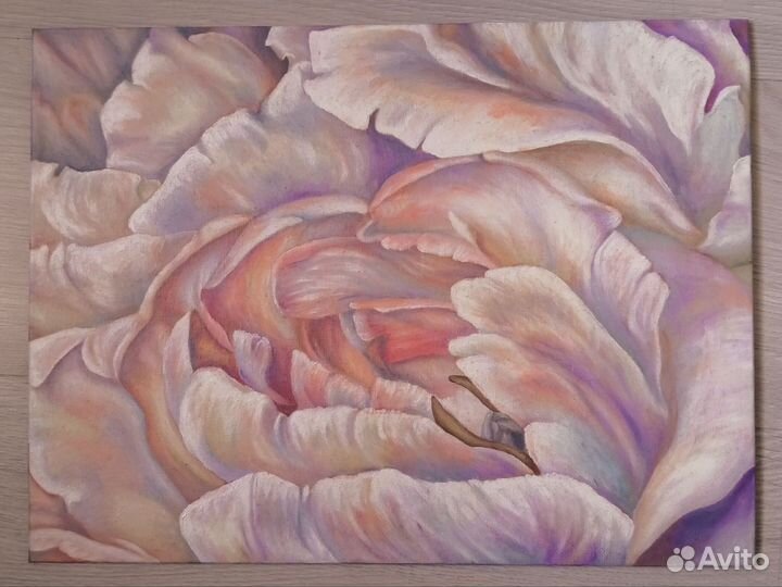 Картина пион маслом на холсте картон