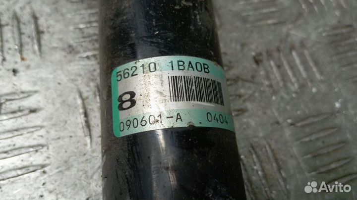 Амортизатор Infiniti Ex35 Задний