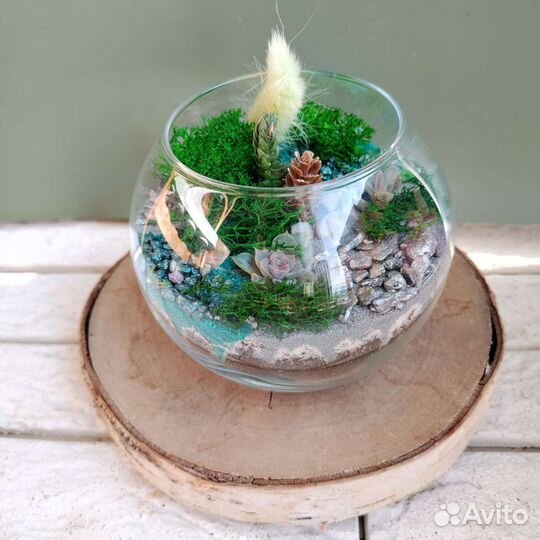 Флорариум с суккулентами