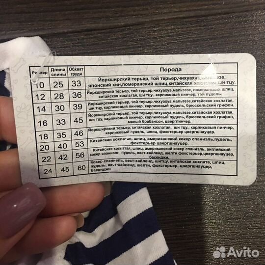 Майка для собаки новая