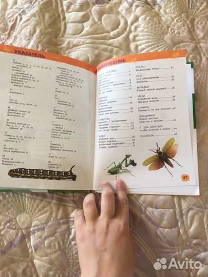 Энциклопедия насекомые