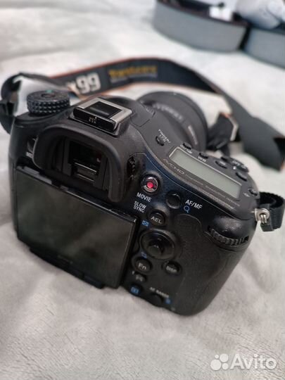 Sony A99 + Sigma 85 1.4