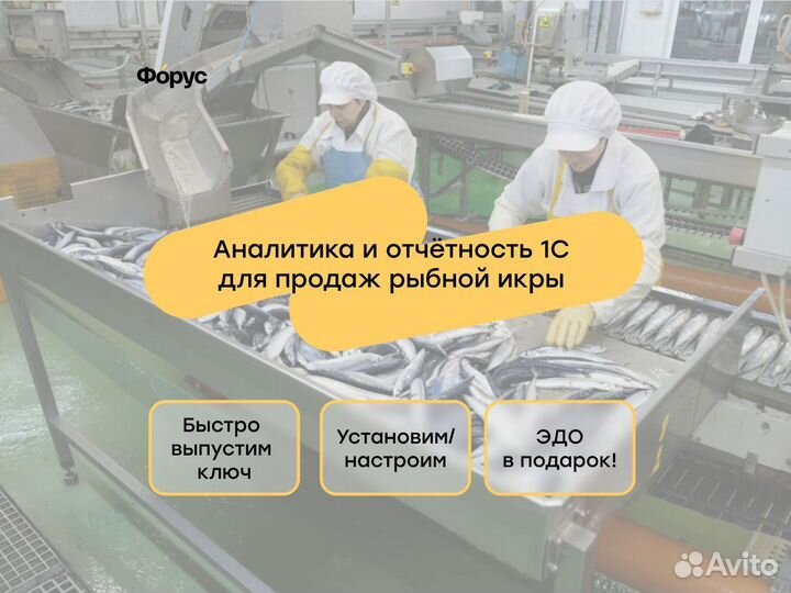 Аналитика и отчетность 1С для продаж рыбной икры