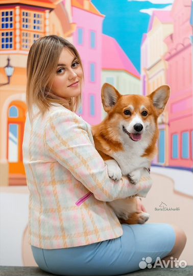 Профессиональный Хендлер