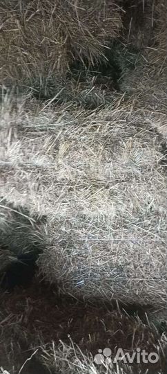 Сено в тюках