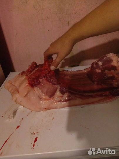 Мясо свинина