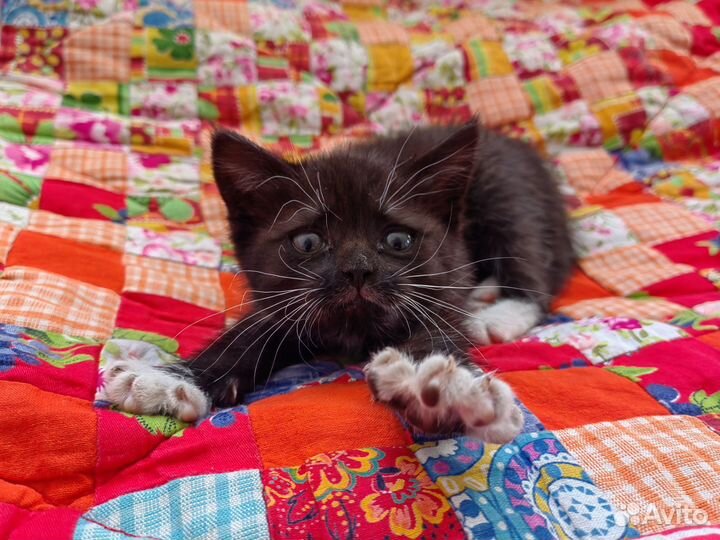 Обучение шитью