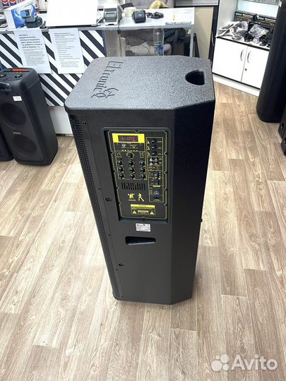 Профессиональная Аудиосистема Эстрадная