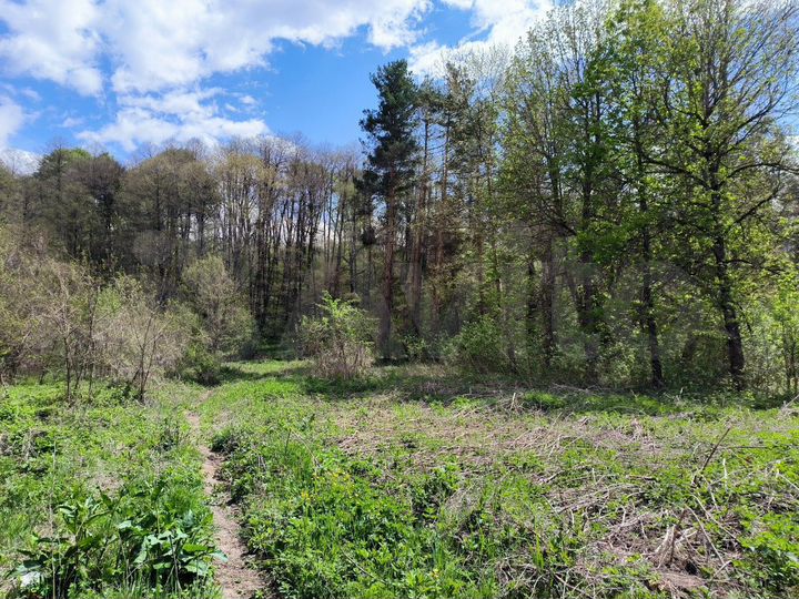 Участок 5 сот. (ИЖС)