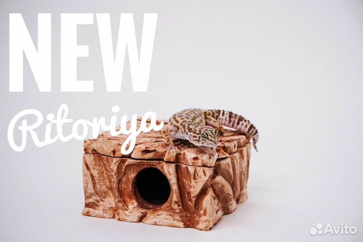 Влажная камера, укрытие и поилка для рептилий