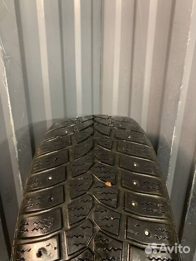 Tigar Sigura Stud 175/65 R14 82T