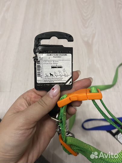 Ошейник и поводок