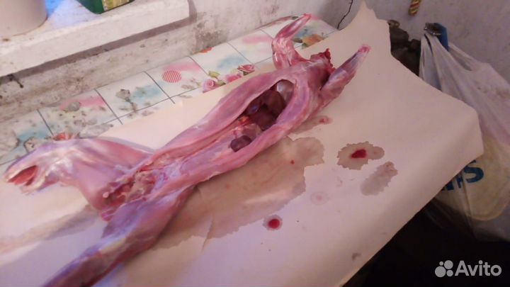 Продукты питания