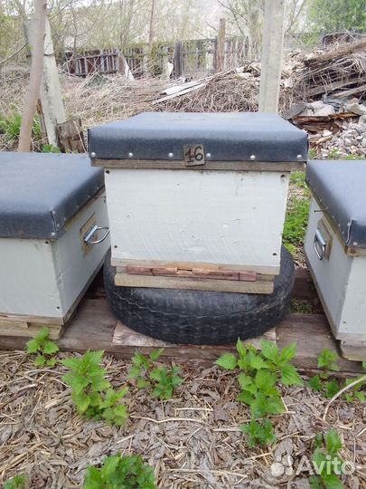 Десятирамочные ульи, рамки медовые, полумëдные