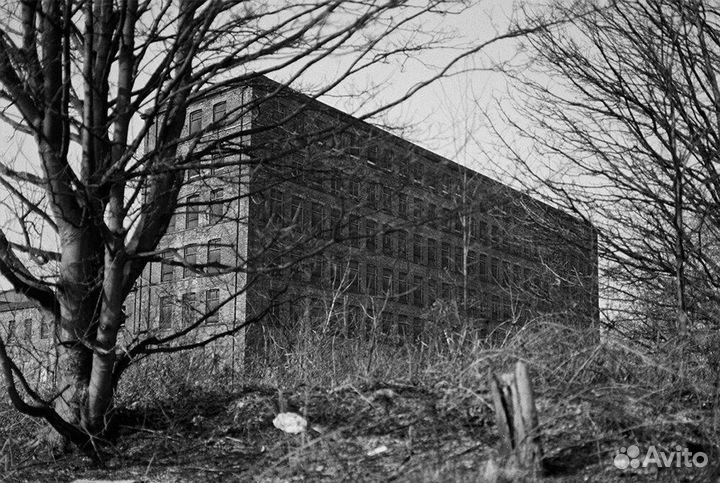 Оцифровка / сканирование плёнок 35mm, Видеокассет