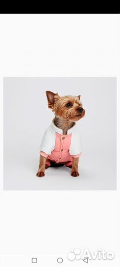 Комбинезон для собаки
