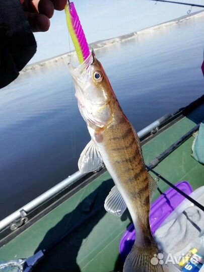 Форма для приманок