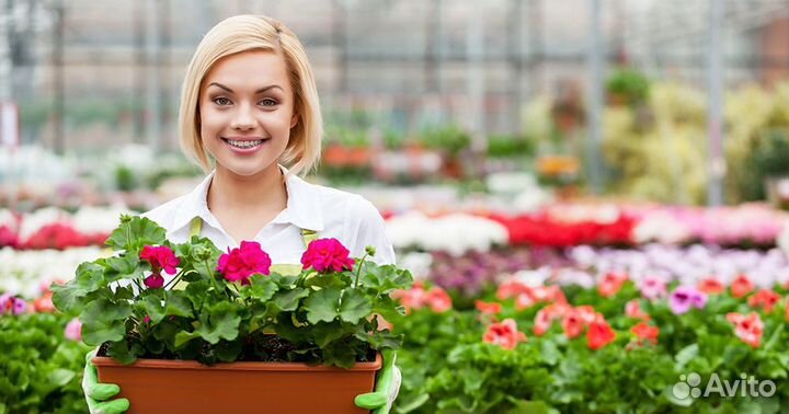 Разнорабочий теплицы вахта с проживанием/питанием