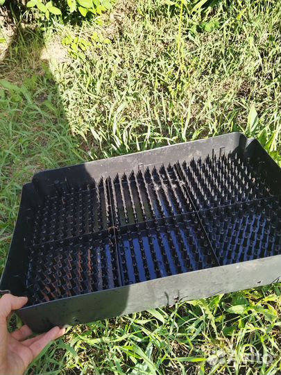 Лоток для выгонки тюльпанов и лука на перо