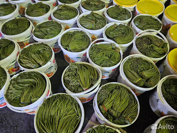 Продаю солёный Папоротник 