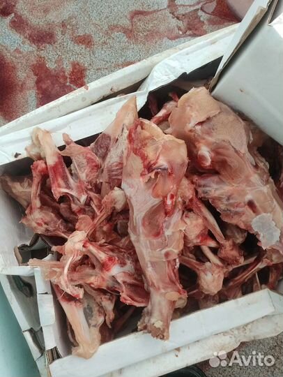 Каркас, спинка, грудные кости куриные