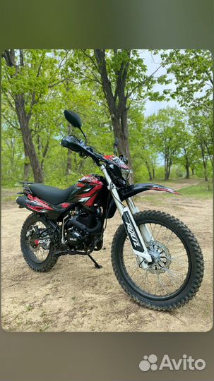 Roliz sport 005 Продам, обмен