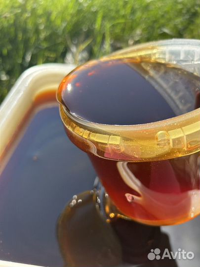 Мед Гречишный опт