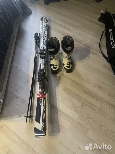 Горные лыжи